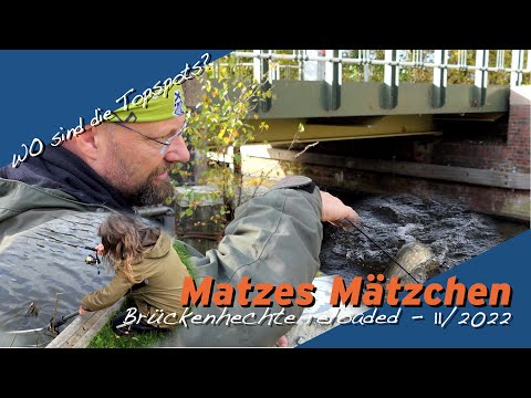 Matze Koch: Angeln auf Brückenhechte - Matzes Mätzchen 11-2022