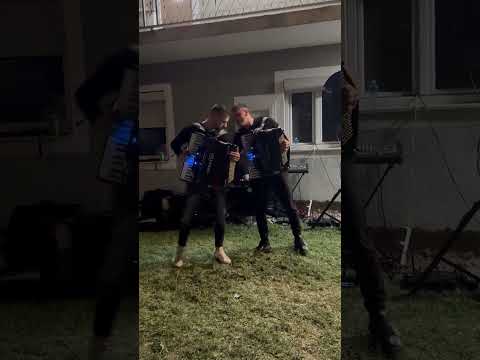 Dimitar Mitrovski & Mishel Trajkovski - Balkan Accordeon improvisations 🪗🔥👏