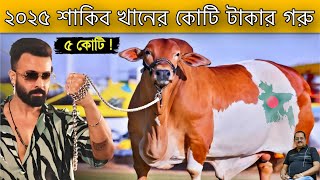 শাকিব খানের কোটি টাকার কোরবানির গরু 2025, গোটা গরুর হাট তোলপাড়, Shakib Khan cow market 2025