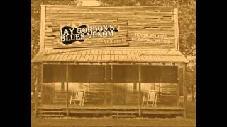 Travelin Riverside Blues