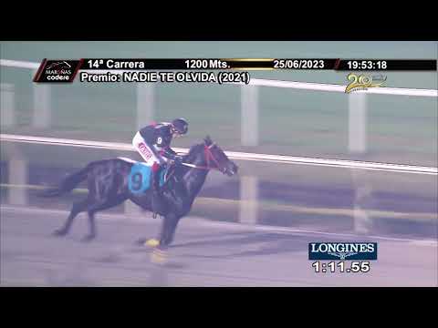 230625 c14 SALVADOR DALI (BRZ)