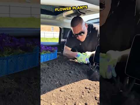 Who plants flowers in  Mercedes?