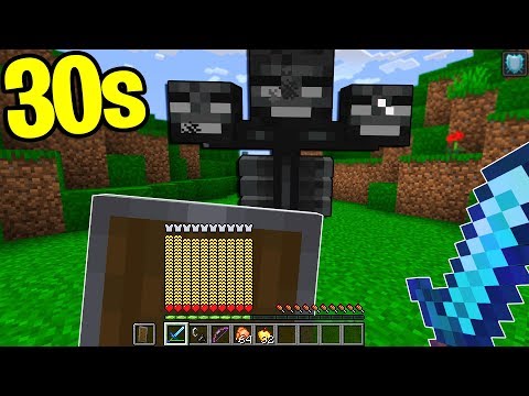 HO UCCISO IL WITHER IN TEMPO RECORD NEL MIO MONDO - Minecraft ITA