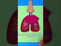 Blow A Balloon See What Happens To Your Lungs Kids Learn