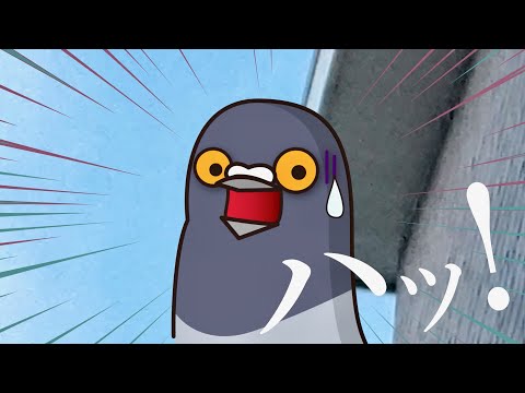 ハトを永久に遠ざけるにはどうすればいいですか？本当に役立つヒントとコツ  庭園