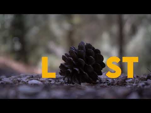 LOST - Experimental Short Film