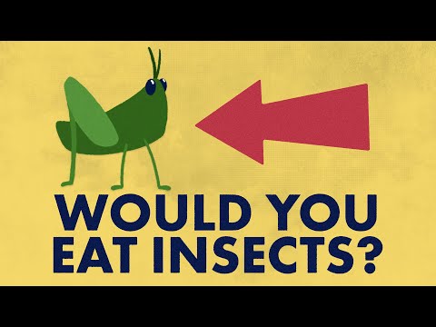 [英語で聞いてみよう] 地球のためにあなたは昆虫を食べられる？ (Would you eat insects to save the world?)