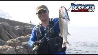 ビッグバッカー80