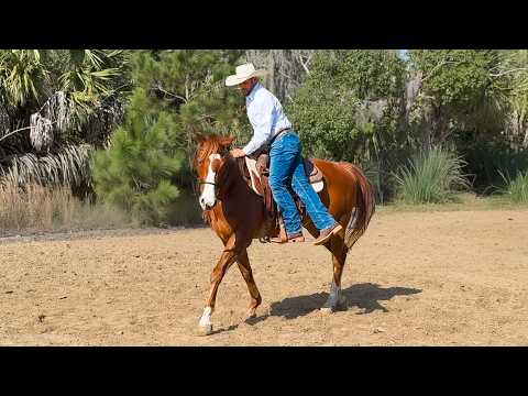 First Ride on my RACEHORSE !