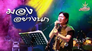 มองอย่างนก – มาลีฮวนน่า