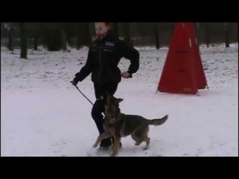 Emmi Vikar - 10 months