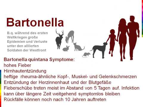 Kopfschmerzen mit zervikaler-Thorax-Osteochondrose Das Skelett des oberen Gliedmaßen. Gelenke