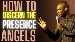 HOW TO ACTIVATE THE MINISTRY OF ANGELS ANYTIME | APOSTLE JOSHUA SELMAN