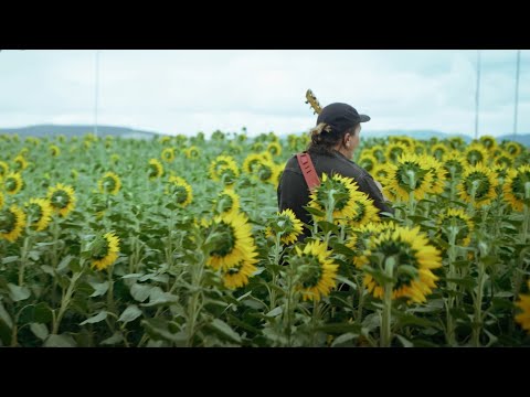 Pohoda 2022 acoustic sessions: 52 Hertz Whale