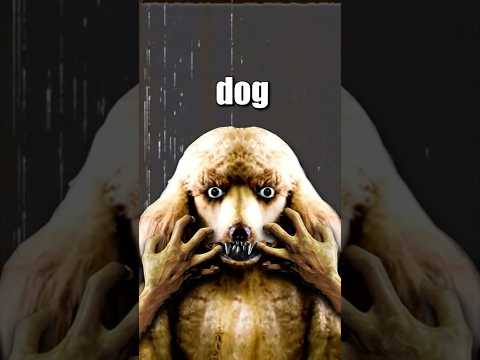 THE DOG MAN INCIDENT! 🐕