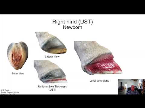 Trimming to the Sole Plane along with understanding the principles of Uniform Sole Thickness (UST)