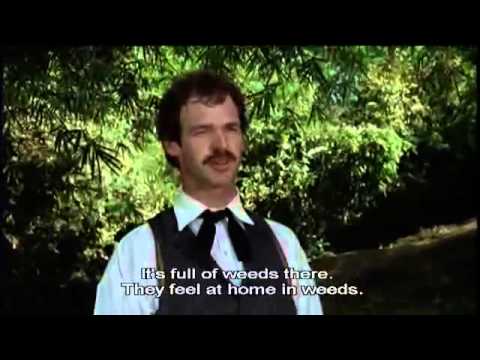 Max Havelaar (1976) Full Movie