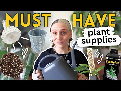 The Plant Care Supplies I Can’t Live Without 🪴