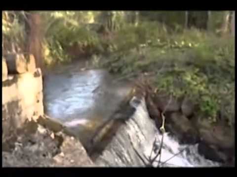 ONDA TG 3.10.2013 - VILLA ORSINI: PRESENTAZIONE PROGETTO