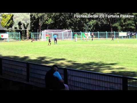Zusammenfassung Testspiel Füchse Berlin gegen FSV Fortuna Pankow 2 1