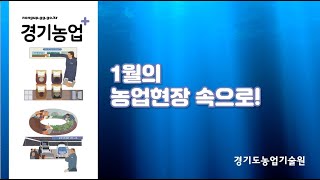 (이달의 농업현장) 1월의 농업현장 속으로!