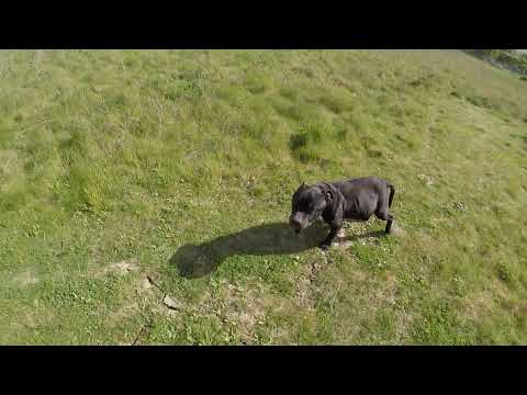 Hermes & Naty 09042022