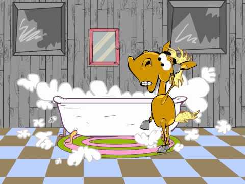 KOŃ RAFAŁ - GIEWONT, WANIENKA, TESCO