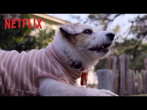 Dogs | Official Trailer [HD] | Netflix