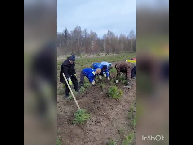 Балыкбистәлеләр «Хәтер бакчасы» акциясенә кушылдылар