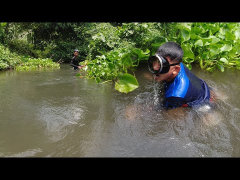 SE03EP054 - AHAS PAGONG sa ILALIM ng mga WATER LILIES | CHINESE SOFT SHELL TURTLE with a LUKAN TWIST