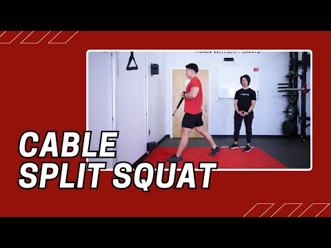 Split Squat exercise video