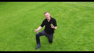 Getting Rid of POA in Your Lawn- Allett Lawn Renovation- Season 1 Episode 5-