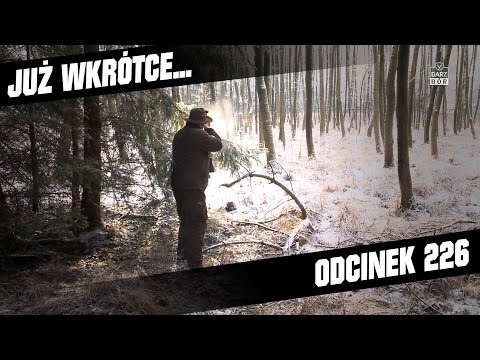 Darz Bór zapowiedź odcinka 226