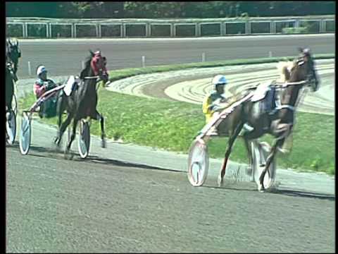 Trotto 15/04/2016 - 3° Corsa