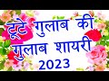 Tute Gulab Ki Shayari 2023🌹 गुलाब शायरी 🌹 Best Gulab Shayari In Hindi