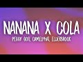 Nanana x Cola (TikTok Remix) - Peggy Gou, Camelphat, Elderbrook (Lyrics)