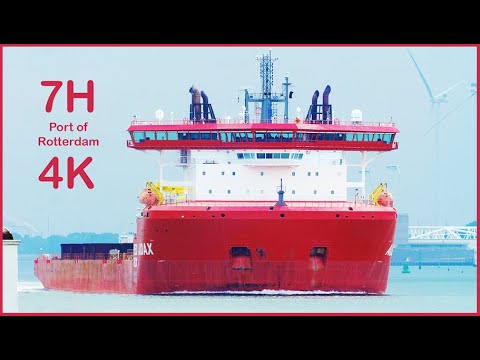 7Hours Hook of Holland Hoek van Holland - 4K
