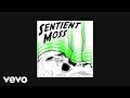 Sentient Moss - Clarity (AUDIO) ft. Zach Henry