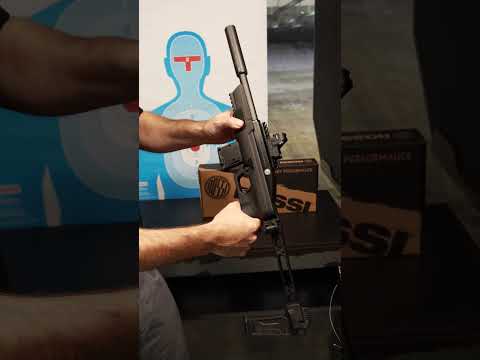 Rossi Gallery Gun. 22 LR, HONEST review