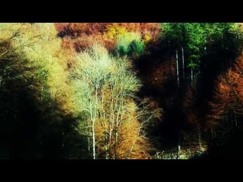 Skaldowie i Lucja Prus - W zóltych plomieniach lisci.