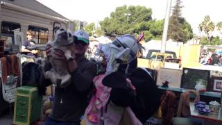 Dancing Clowns at the Melrose Trading Post... & Knuckles the Dog