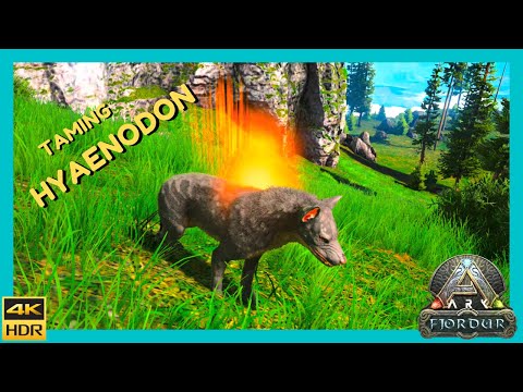 Ark - Fjordur : Taming a Hyaenodon