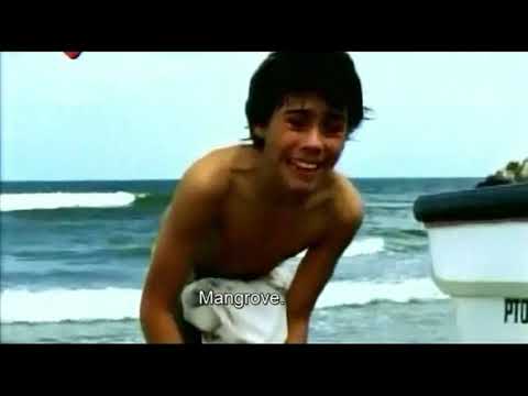 download lagu mp3 mp4 El Chico Que Miente, download lagu El Chico Que Miente gratis, unduh video klip El Chico Que Miente