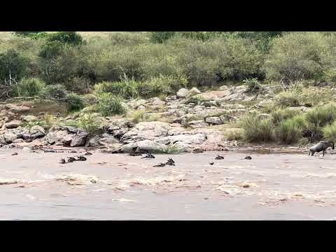 The Great Migration