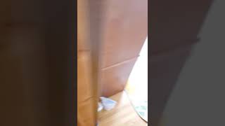 自宅の階段かけ降りてみた！