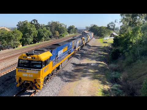 Pacific National NR55, NR118 & NR94 with 5BM4 at East Maitland - 28/4/23