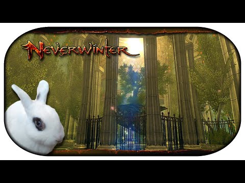 NEVERWINTER: Paladin-LP 🐇 103 - Malabogs Reich