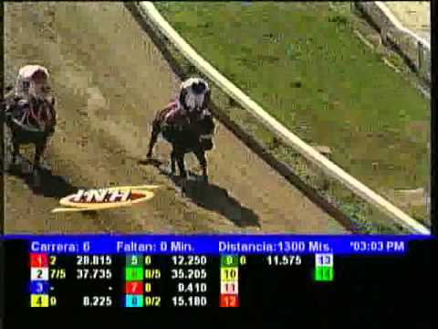 Resumen Domingo, 18 de Mayo de 2014 - La Rinconada