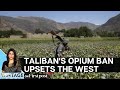 Taliban's Opium Ban: Why The West is Upset With The Decision | Vantage with Palki Sharma