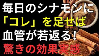 【医師解説】シナモンの正しい食べ方｜血流・睡眠・脳を支える最強の組み合わせTOP5と注意点 | 健康長寿